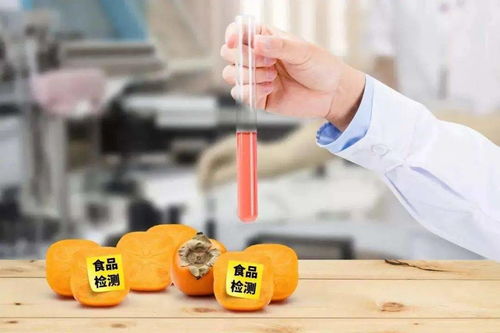 江蘇食品安全專項抽檢結果公布 合格率高達99.38%，藥品零售領域同步加強監管