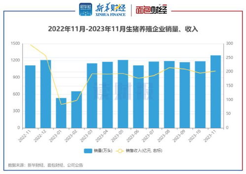 生豬養殖與醫藥零售雙線觀察 上市豬企11月銷量同比增16%，天邦食品領漲