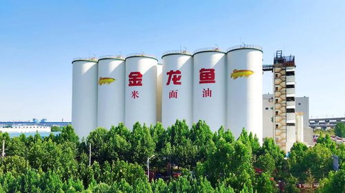 益海嘉里金龍魚八赴進博之約 以科技健康雙輪驅動，三季度業績穩中有進