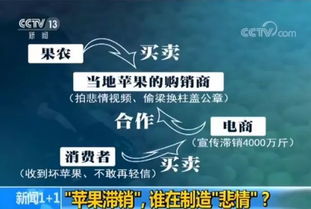 滯銷的4000萬(wàn)斤蘋果與果農(nóng)的無(wú)奈抉擇